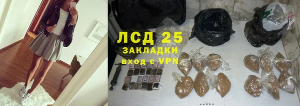 стафф Новозыбков