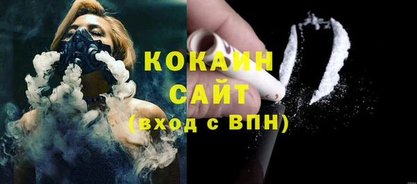 стафф Новозыбков