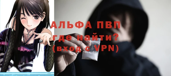 стафф Новозыбков