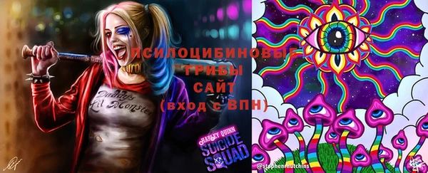 стафф Новозыбков