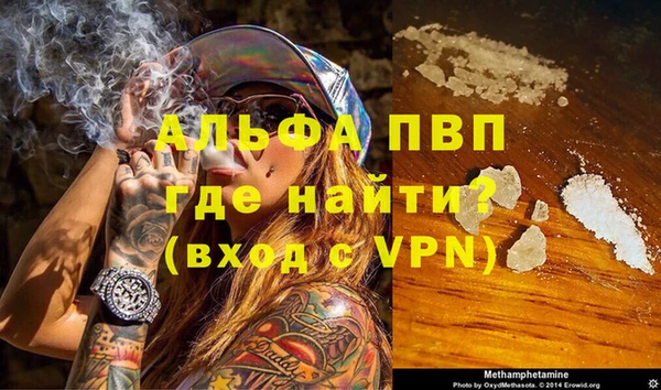 стафф Новозыбков
