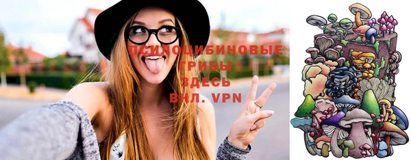 ГАЛЛЮЦИНОГЕННЫЕ ГРИБЫ Нея