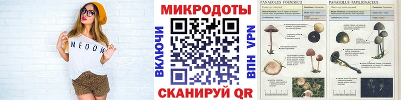 Псилоцибиновые грибы мицелий  Лебедянь 